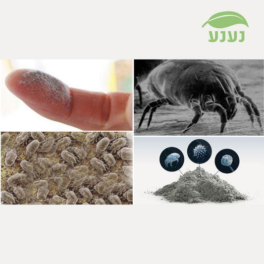 טיפול טבעי בקרדית האבק