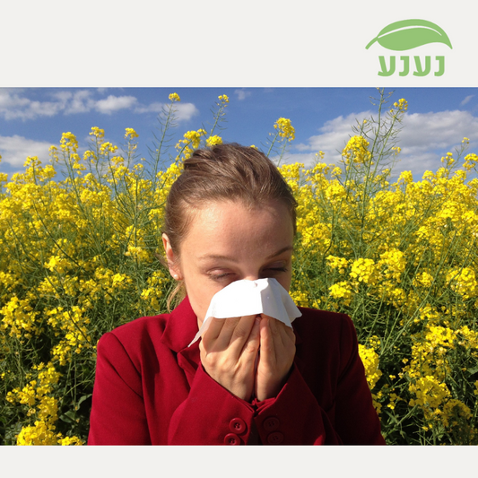 כיצד פועלת אלרגיה?