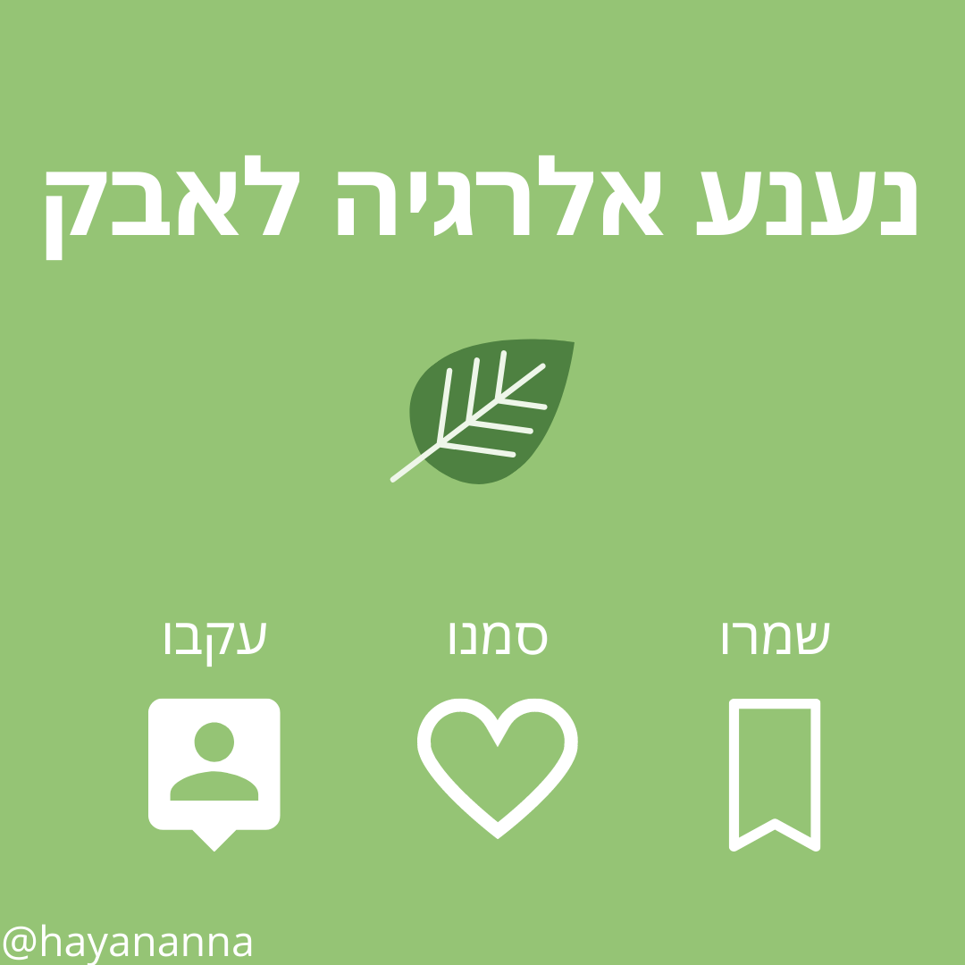 מחקר קבע: השמן האתרי שמחסל את קרדית האבק